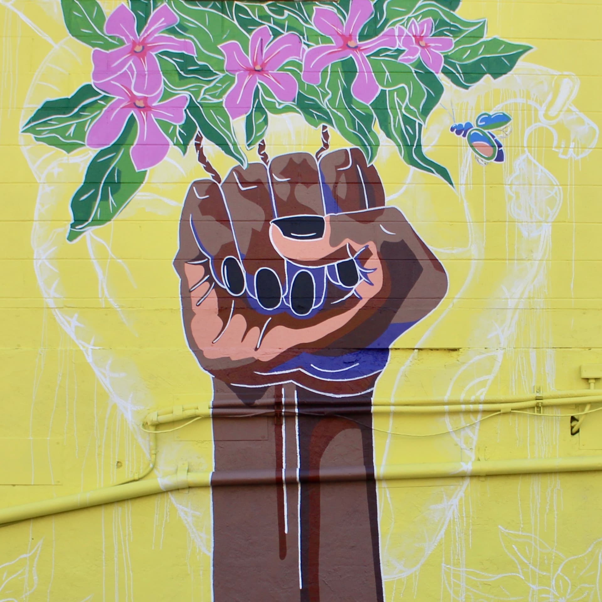 Solidarity detail