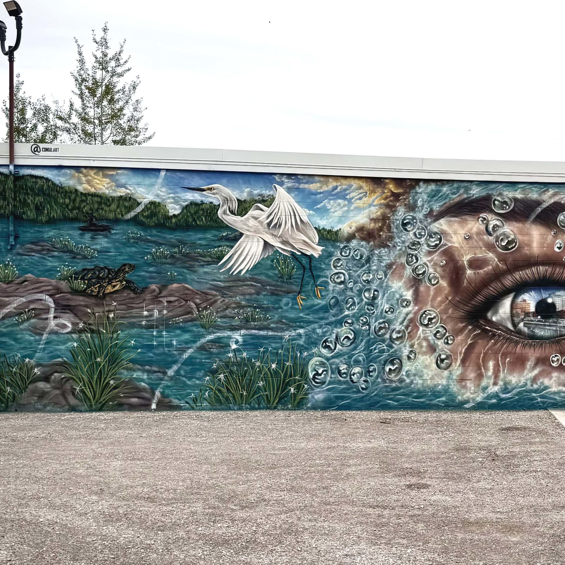 Eye on the river detail