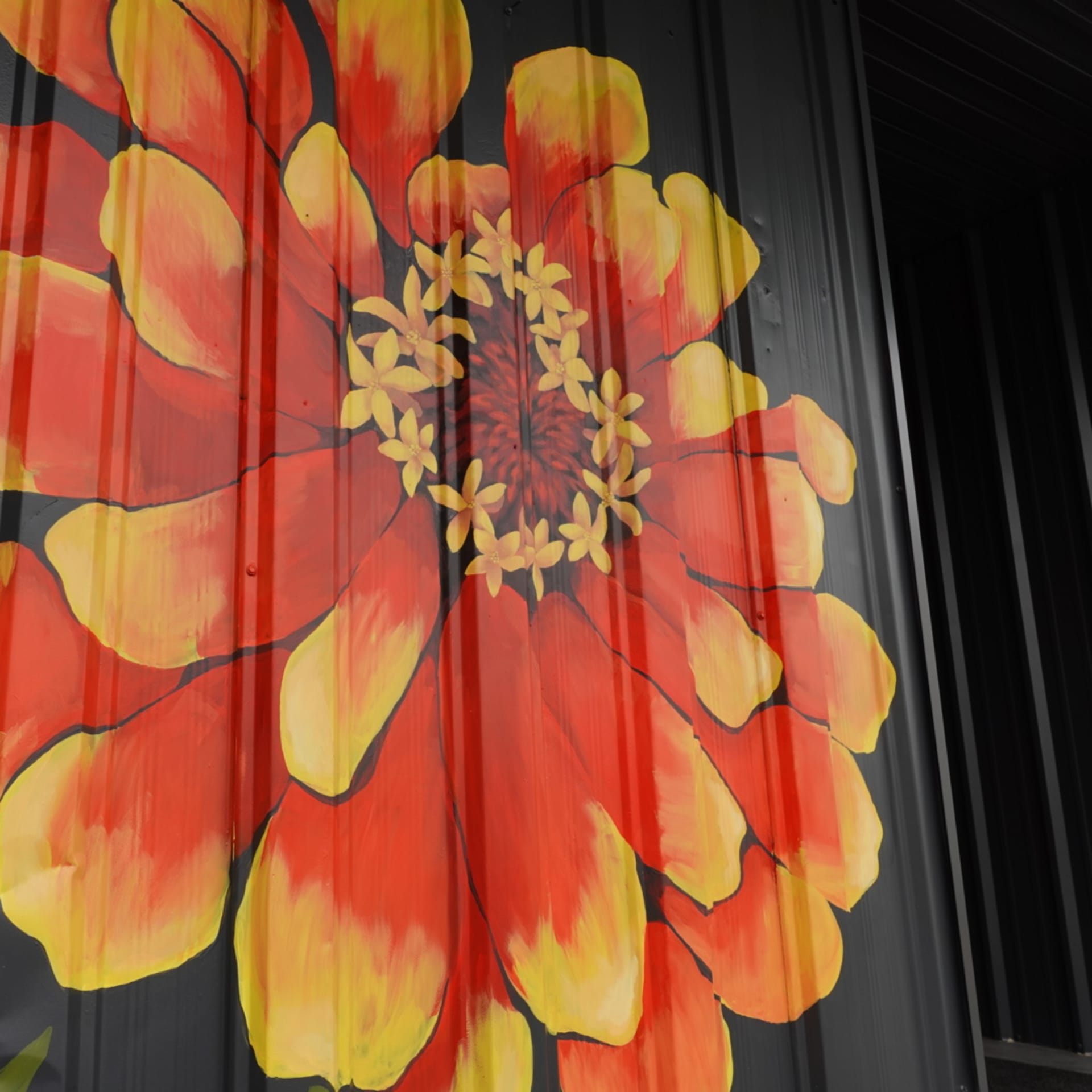 Vibrant Blooms Against Urban Shadows detail