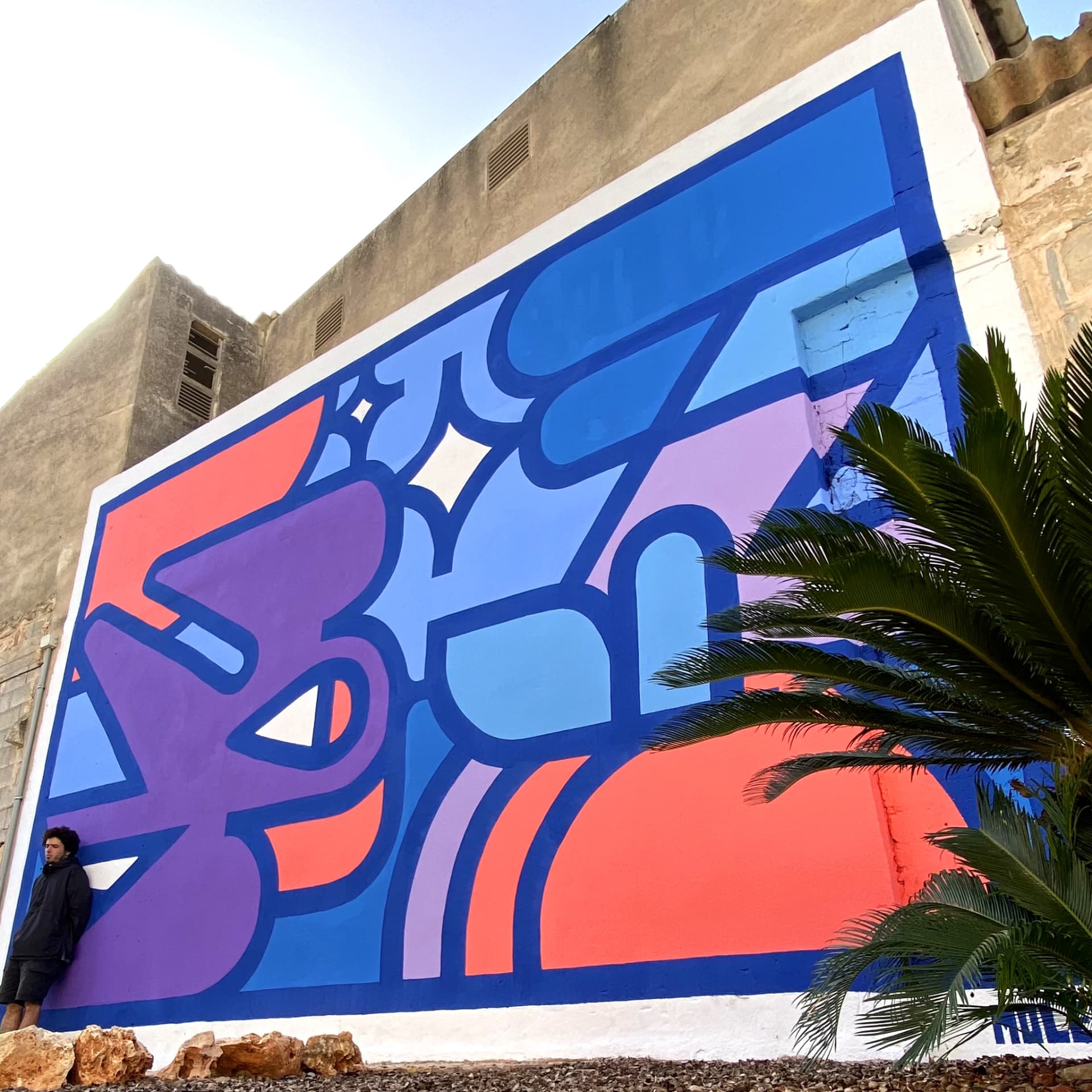 Vibrant Echoes of Balearic Dreams detail