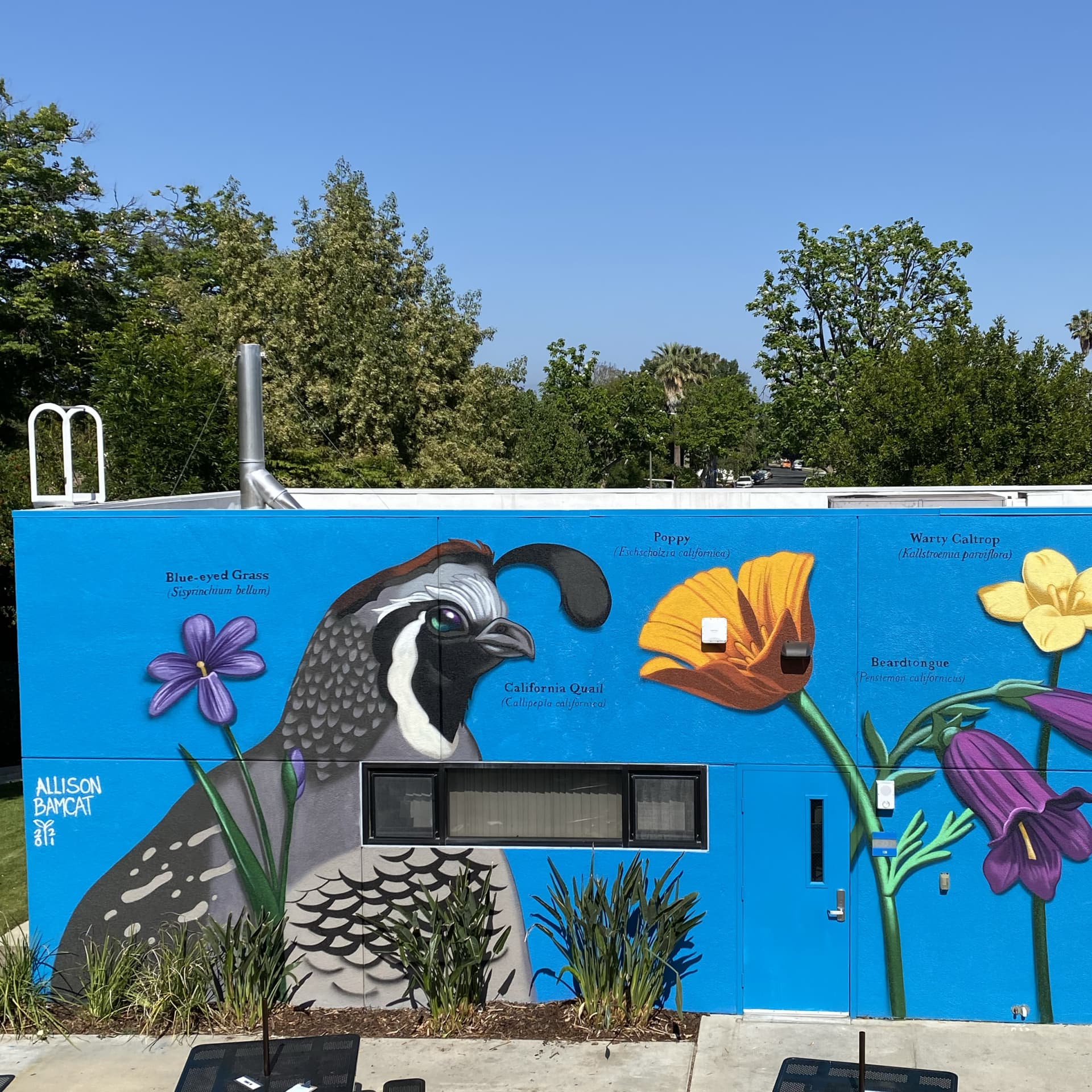 Biology Building detail
