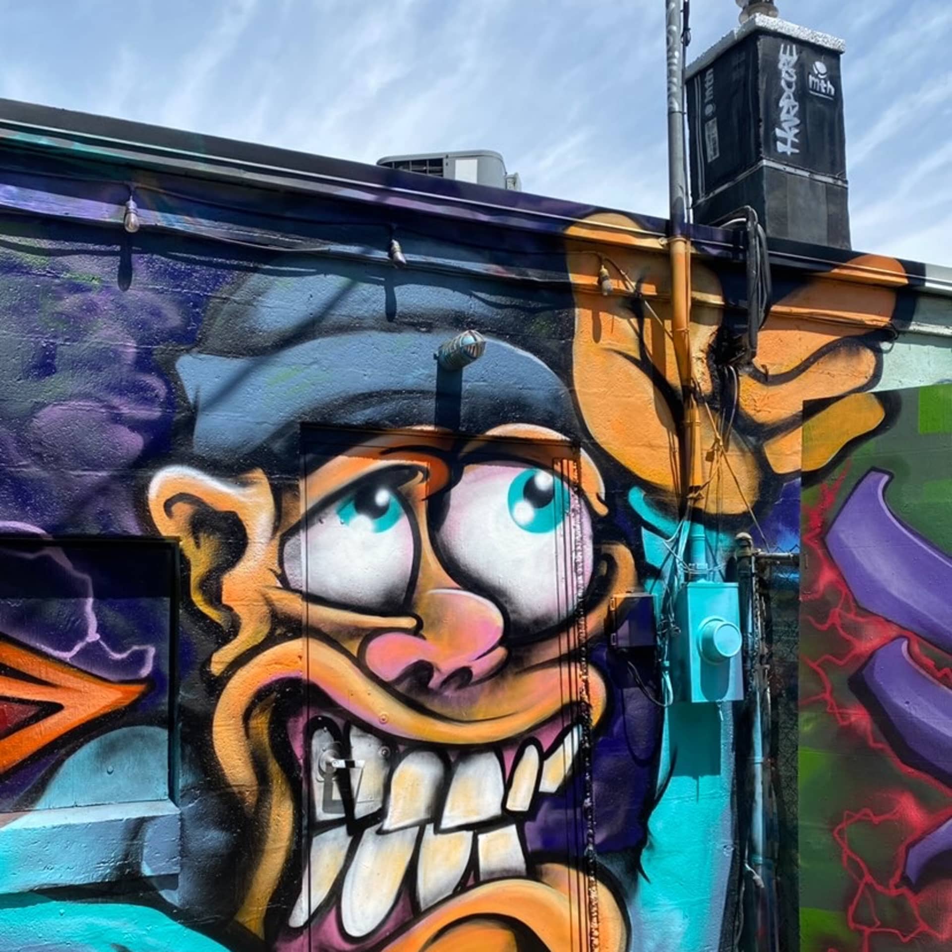 Montana Man  detail