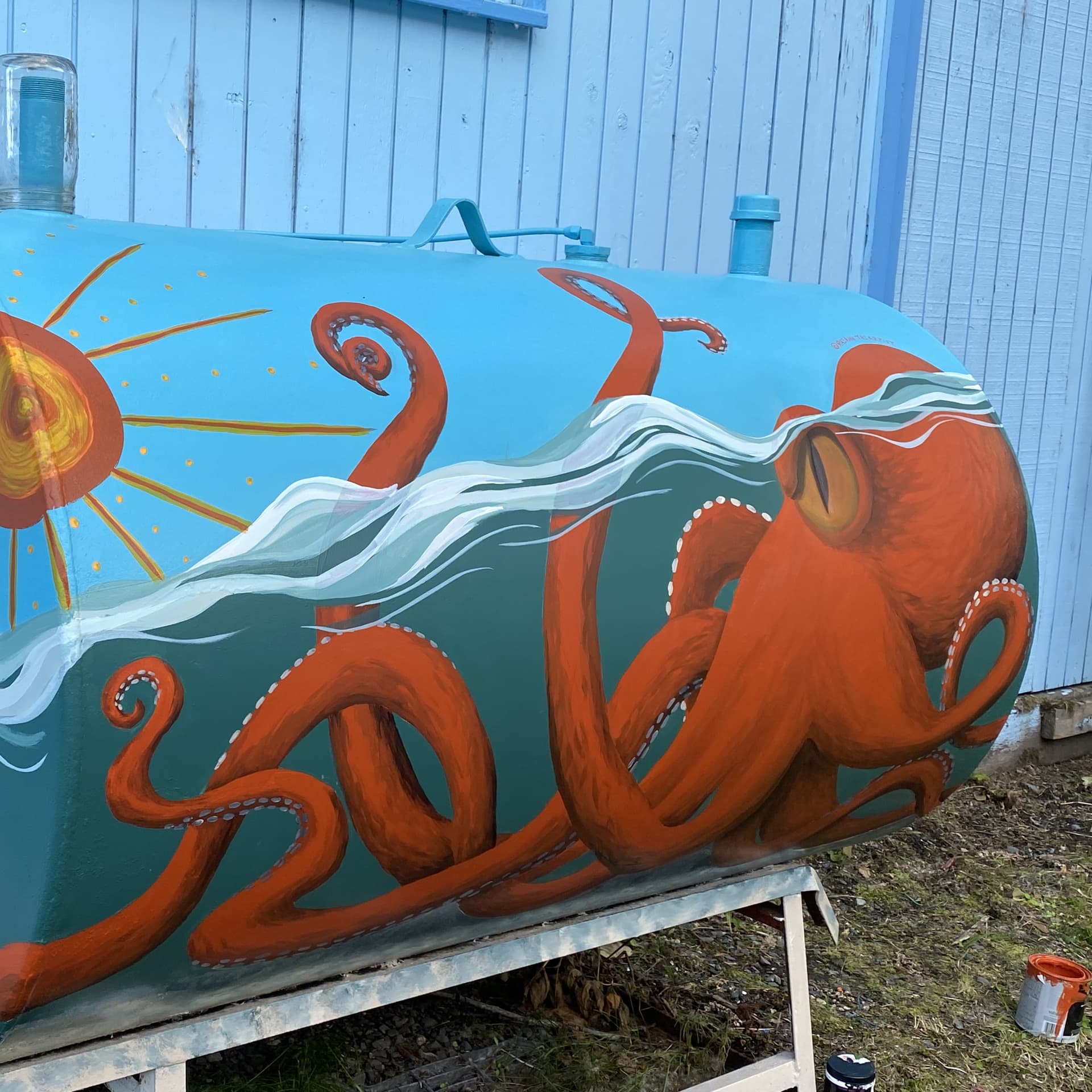 Octopus exploration  detail