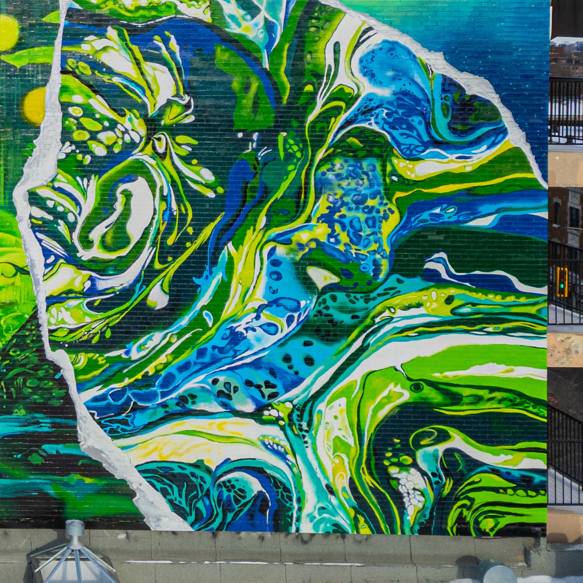 Fluid Harmony in Vibrant Tides detail