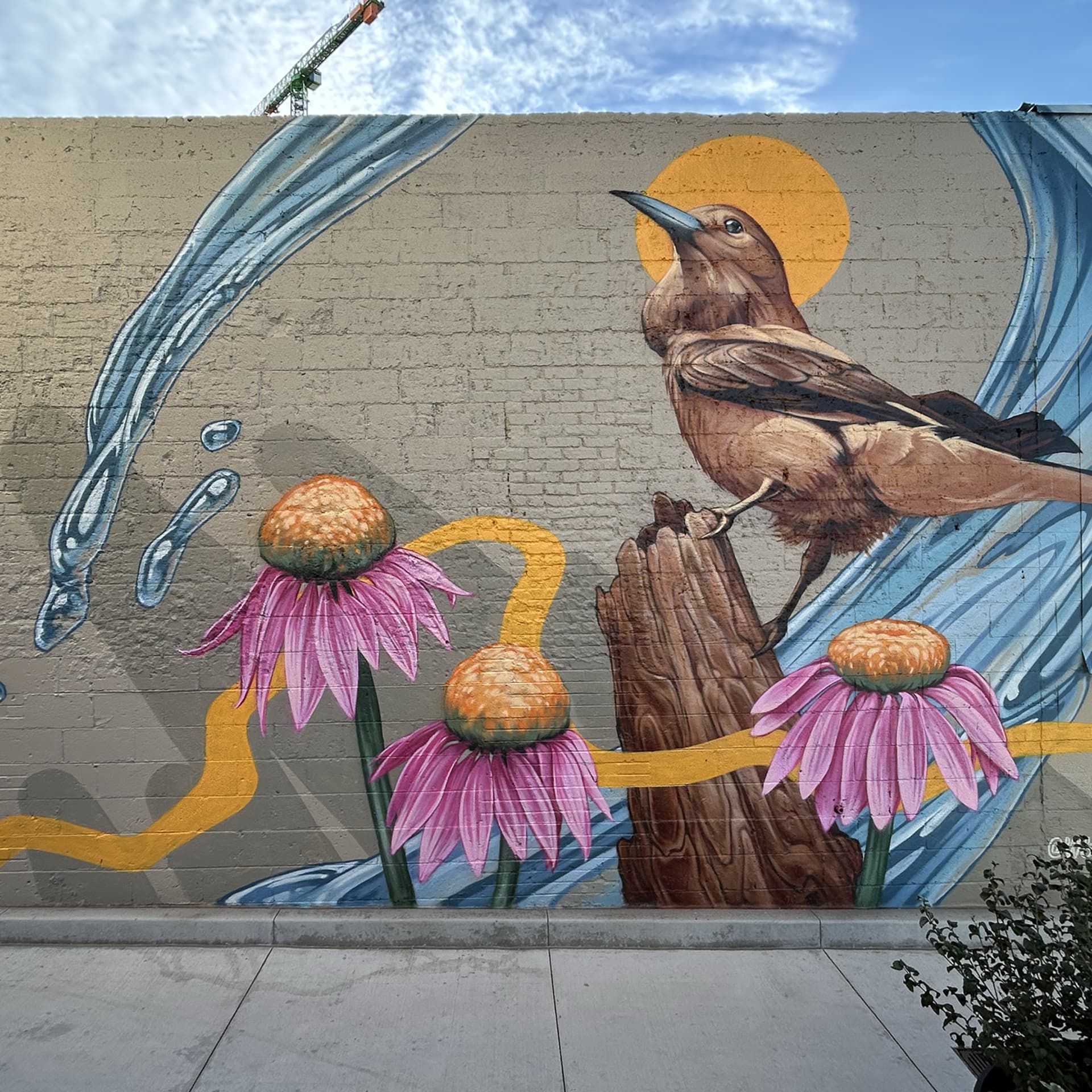 Harmony of Nature's Vibrant Symphony detail
