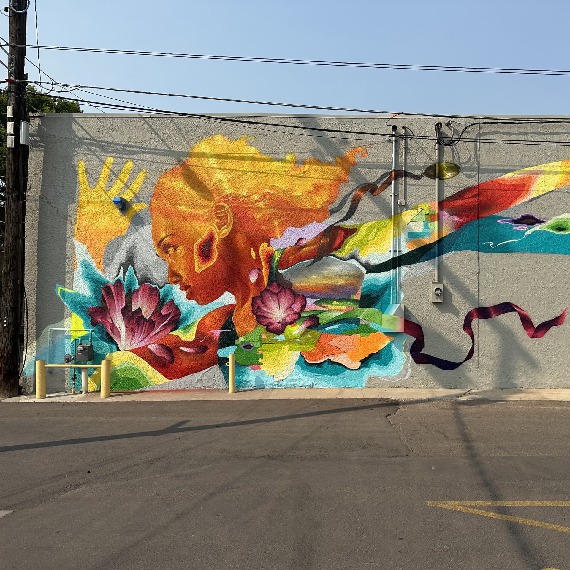 Vibrant Echoes of Nature and Identity detail