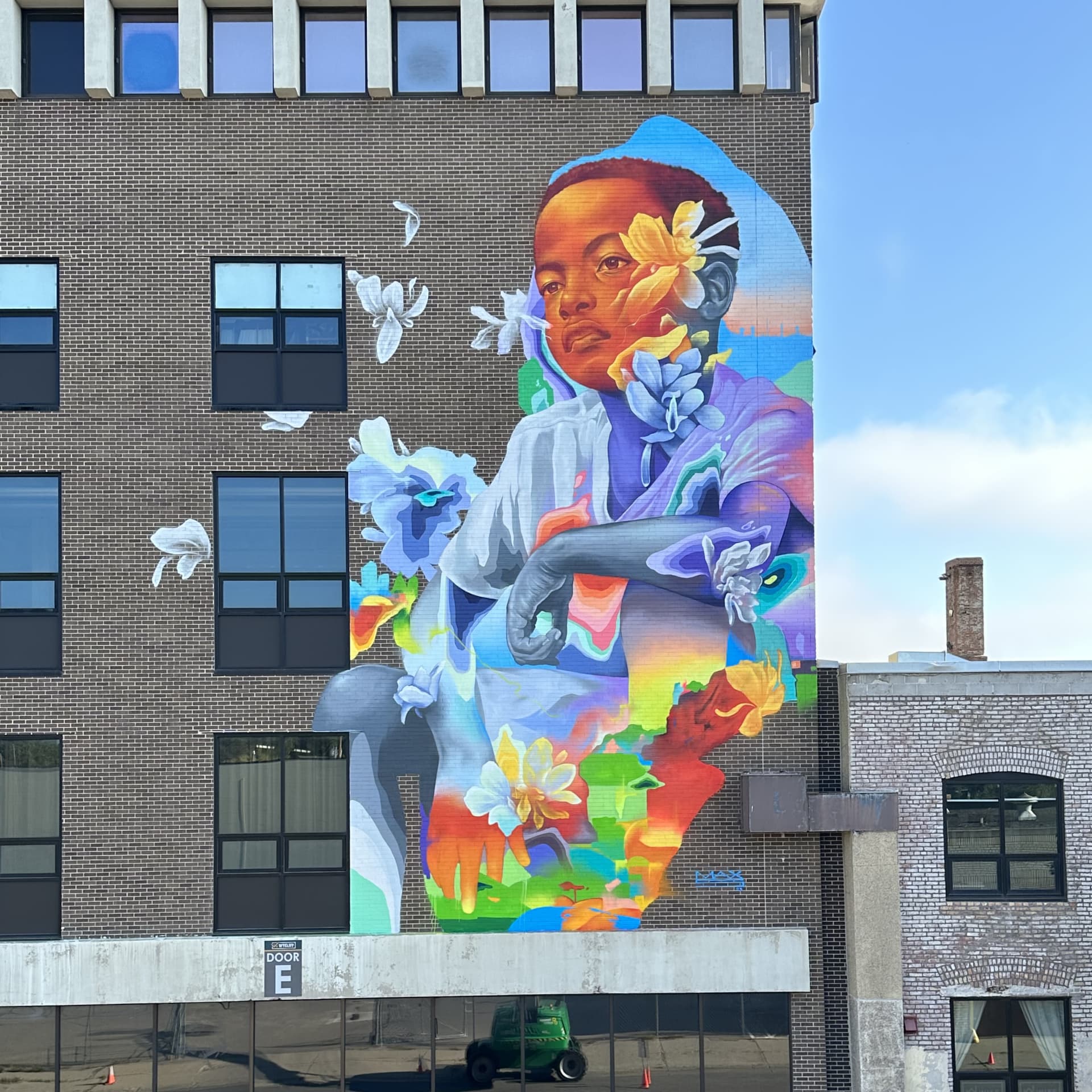Blooming Resilience in Urban Color detail
