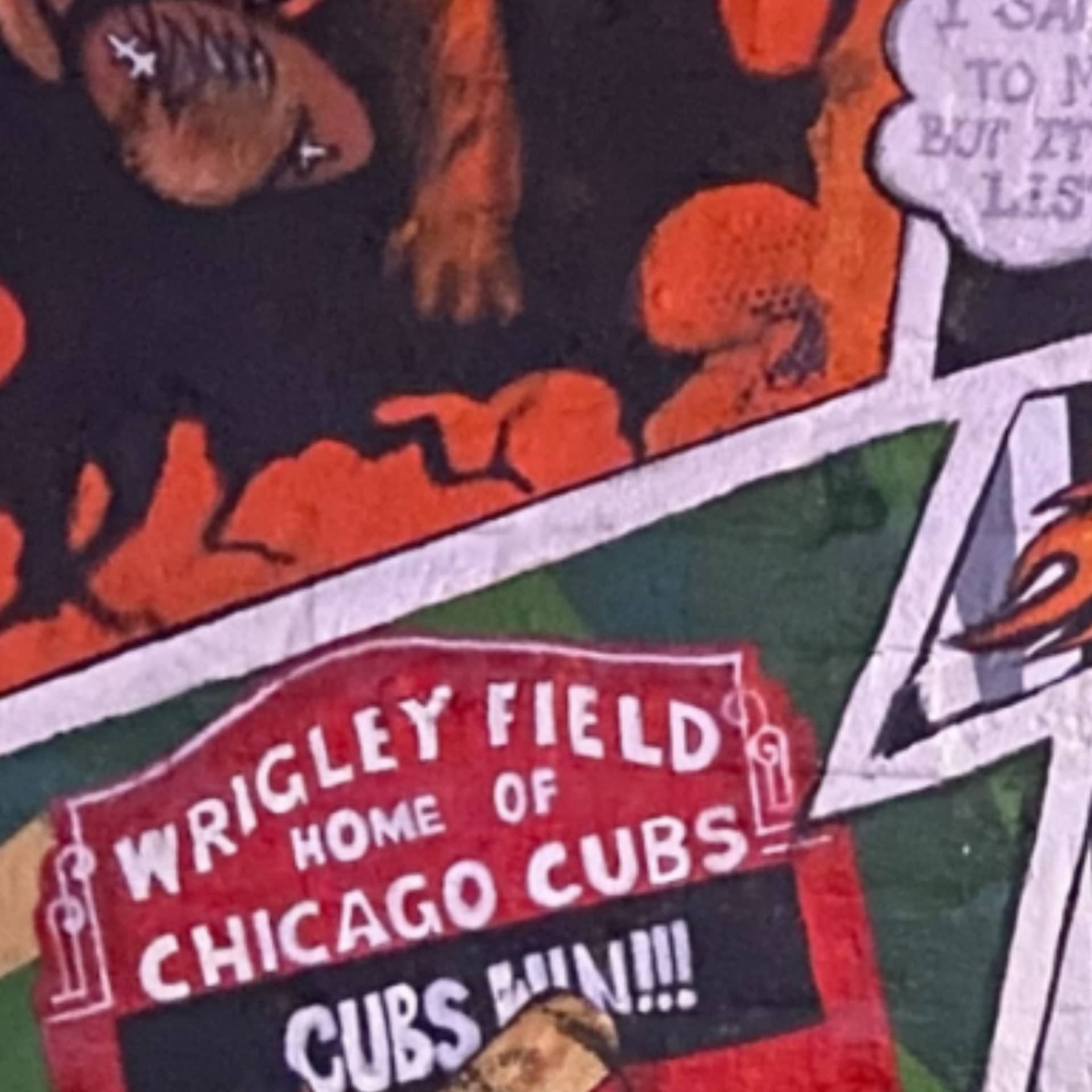 Chicago Cubs Wrigley detail