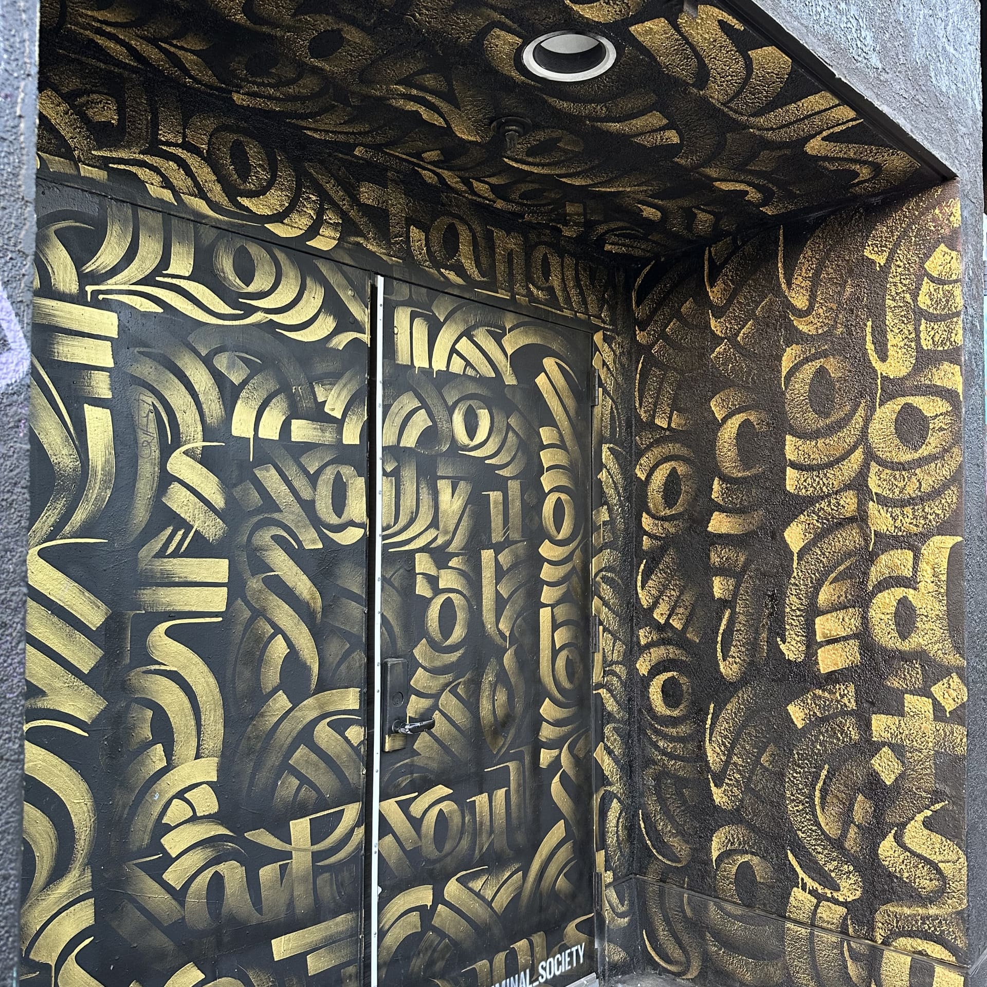 DTSA Doorway detail