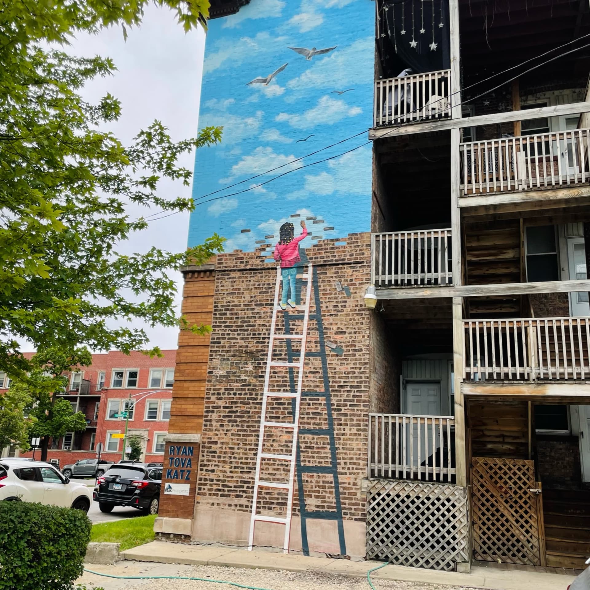 Ezra Frees the sky  detail