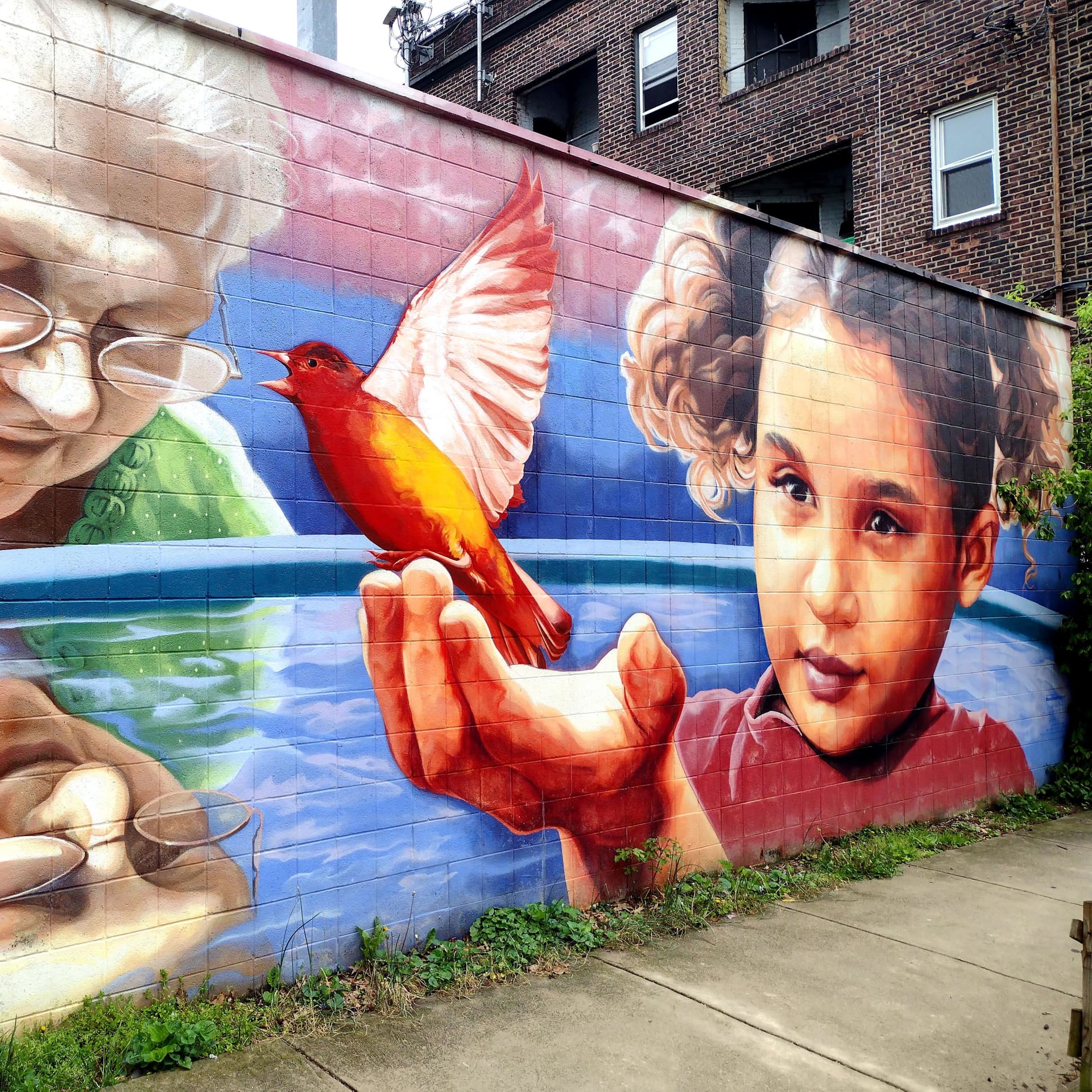 Education is a Message: Love, Light and the Written Word detail