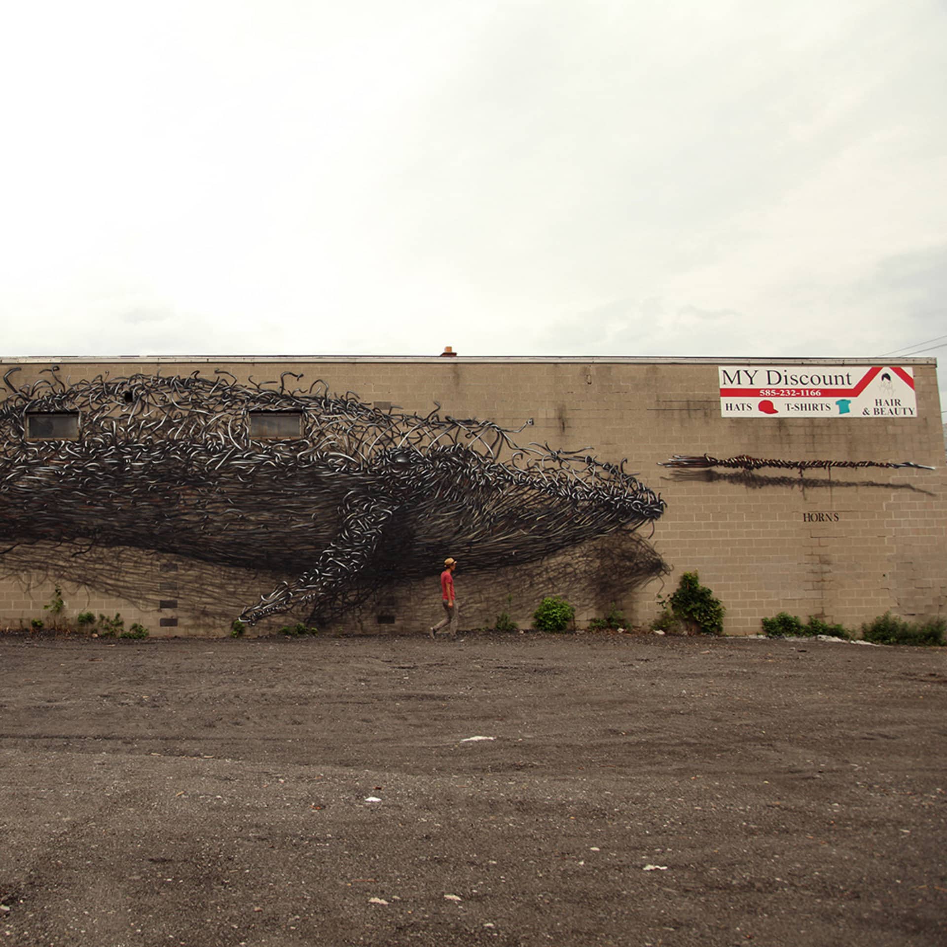 Discount Evolution (2012) detail