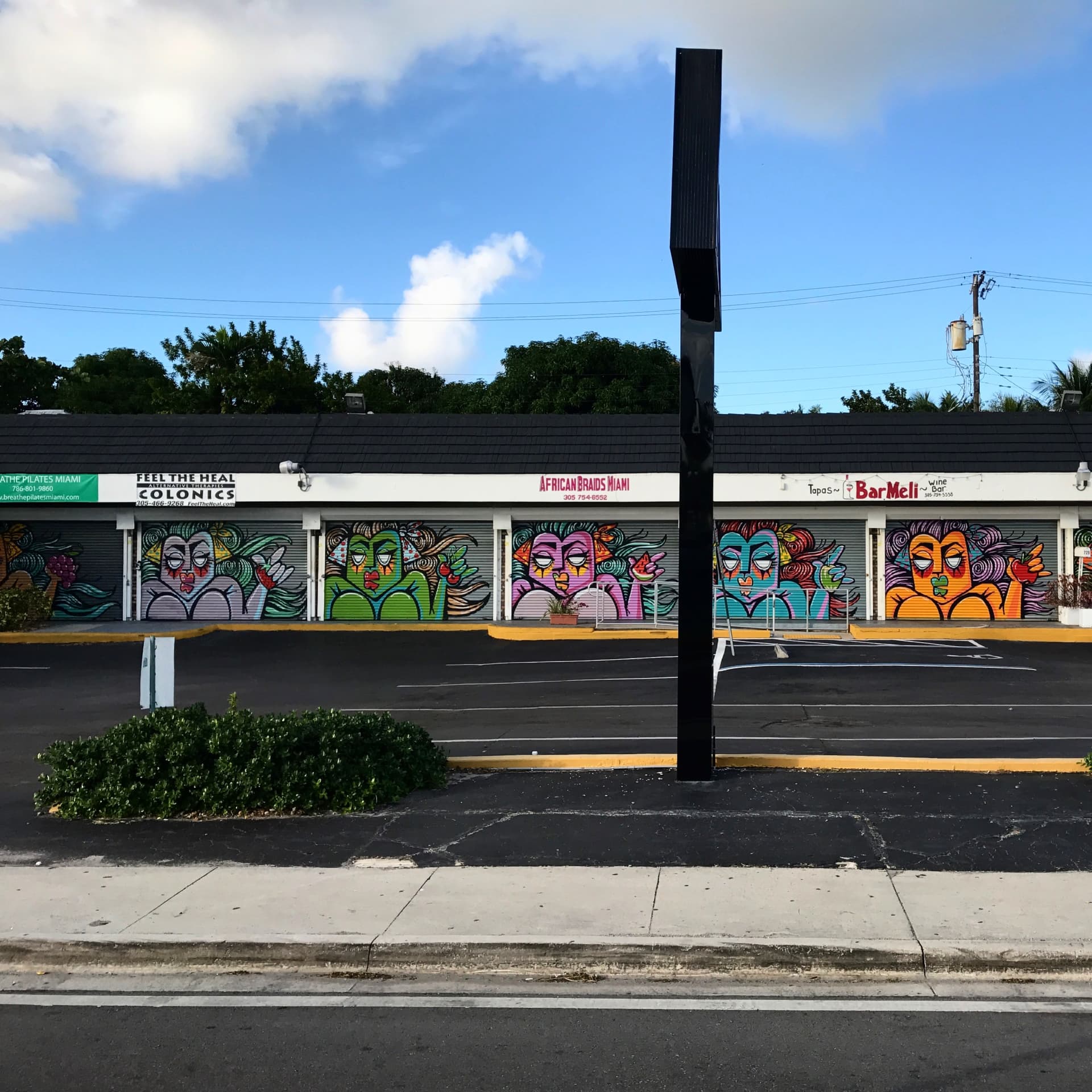 Vibrant Echoes of Miami's Urban Spirit detail