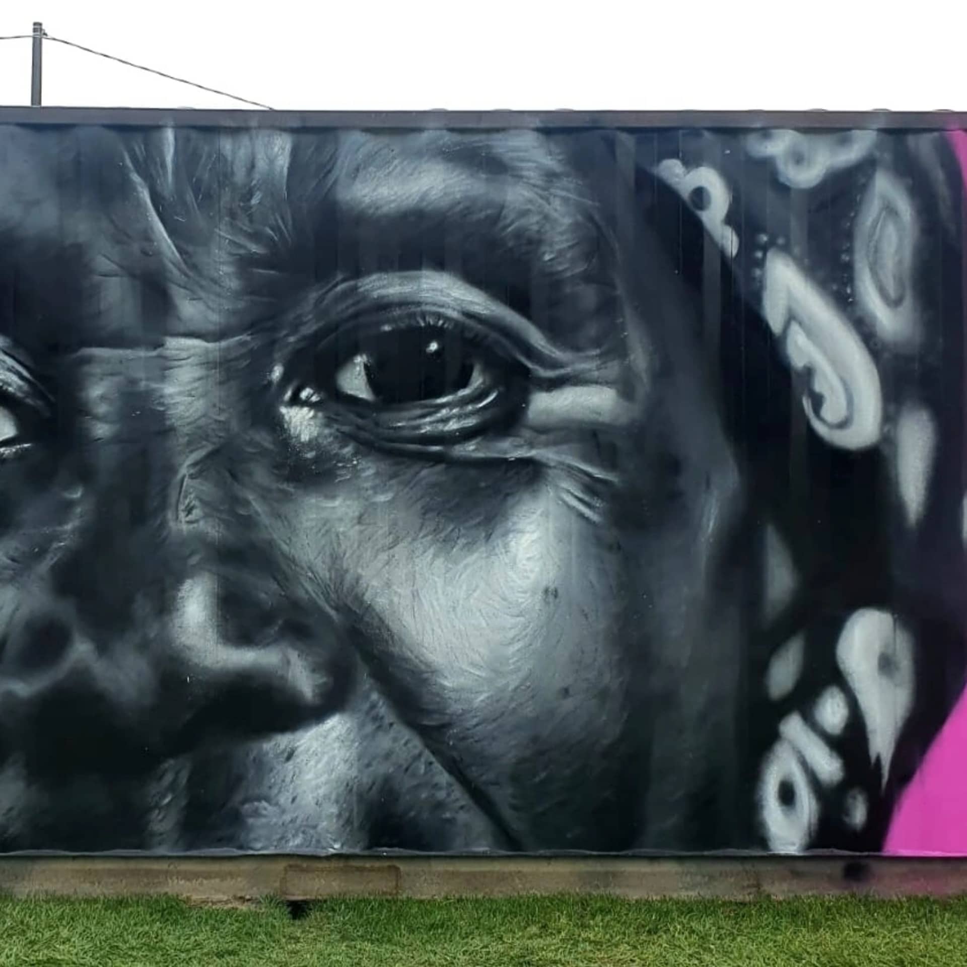 Eyes of Resilience and Memory detail
