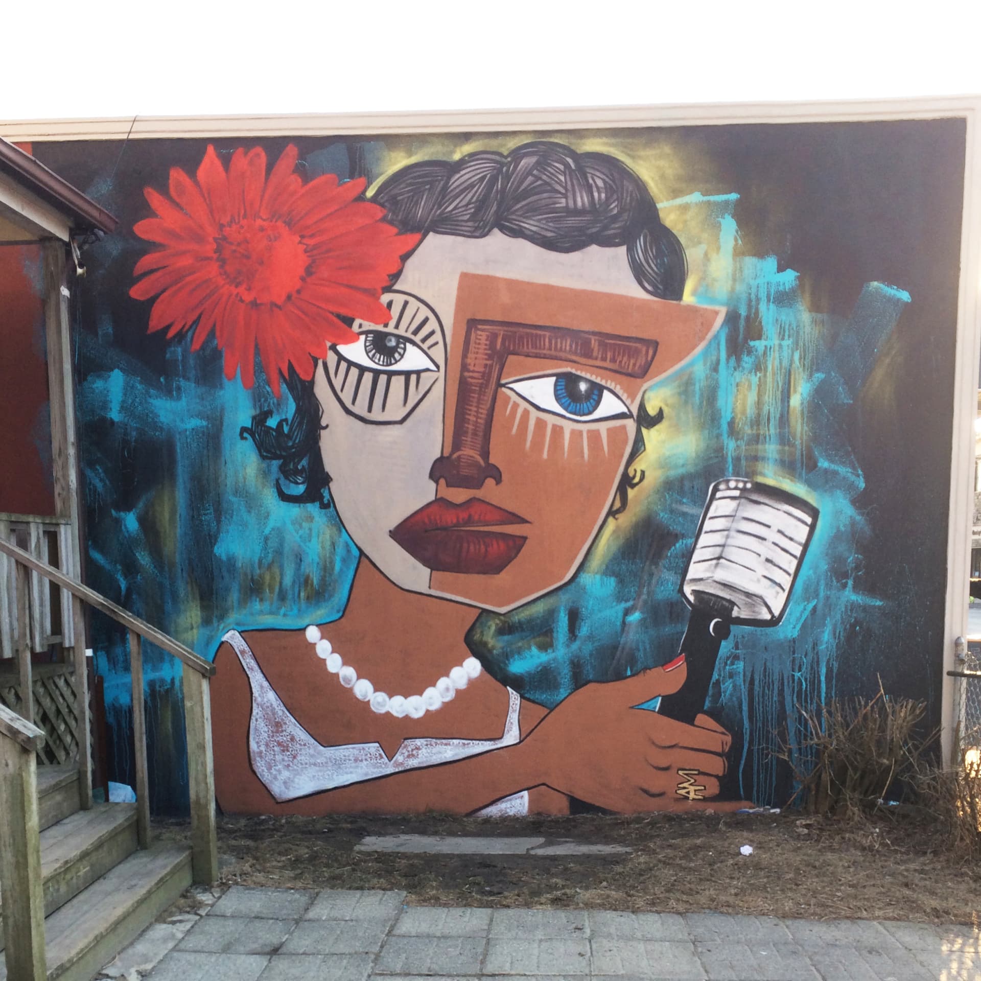 Voices of Resilience and Expression detail