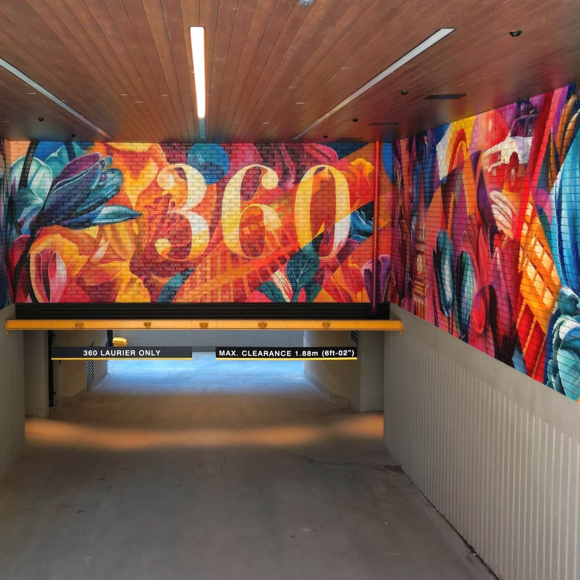 360 Laurier Immersive Color and Typography detail