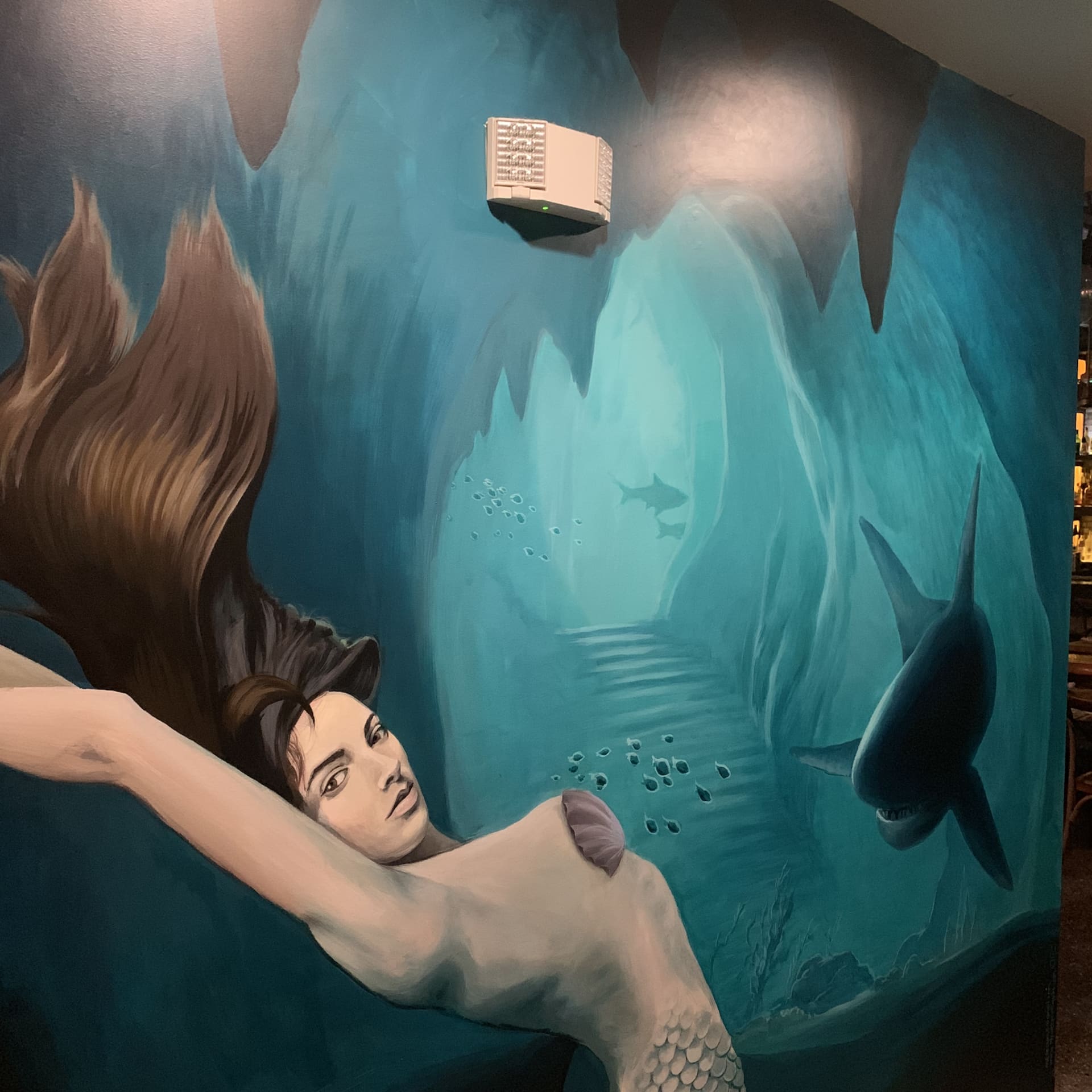 Under the sea detail