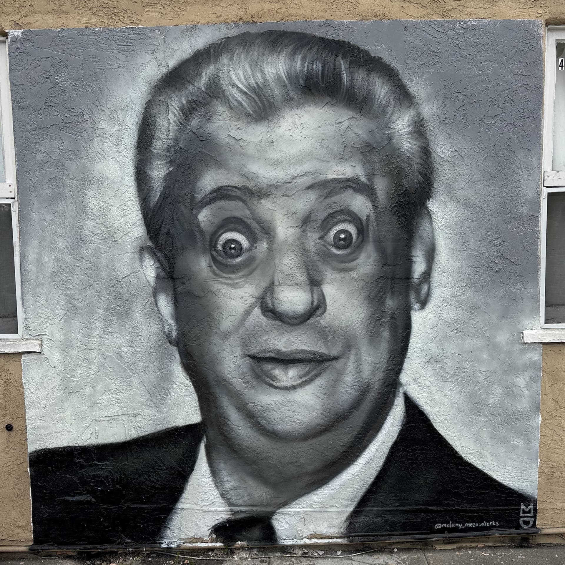 Rodney Dangerfield detail