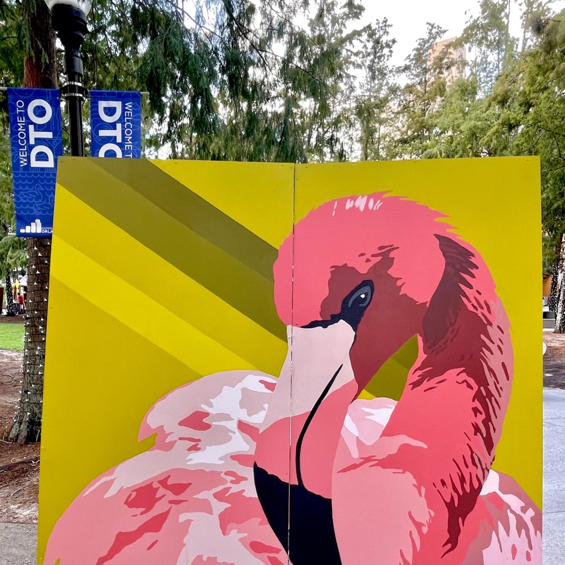 Flamingo detail