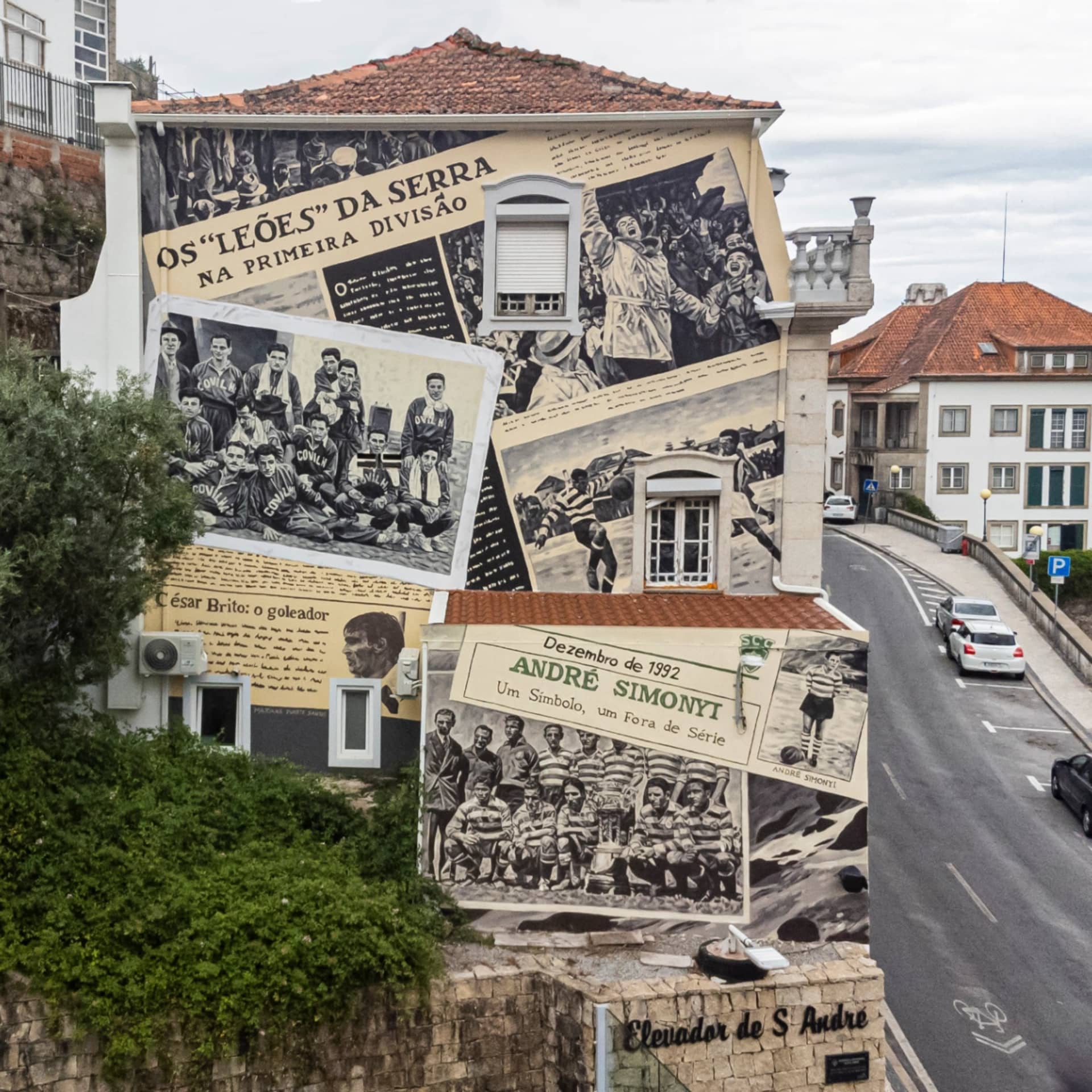 100 years of Leões da Serra detail