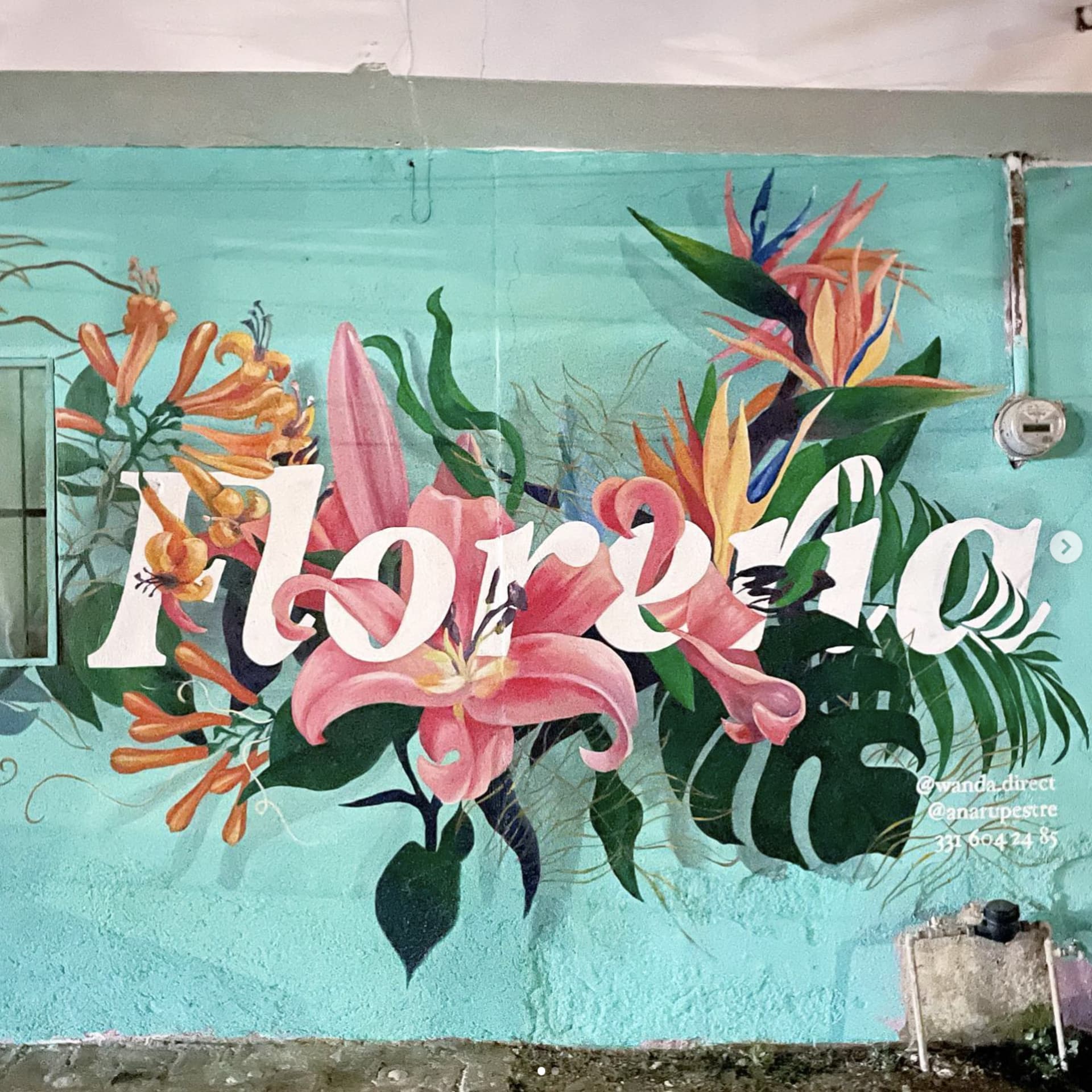 floreria detail