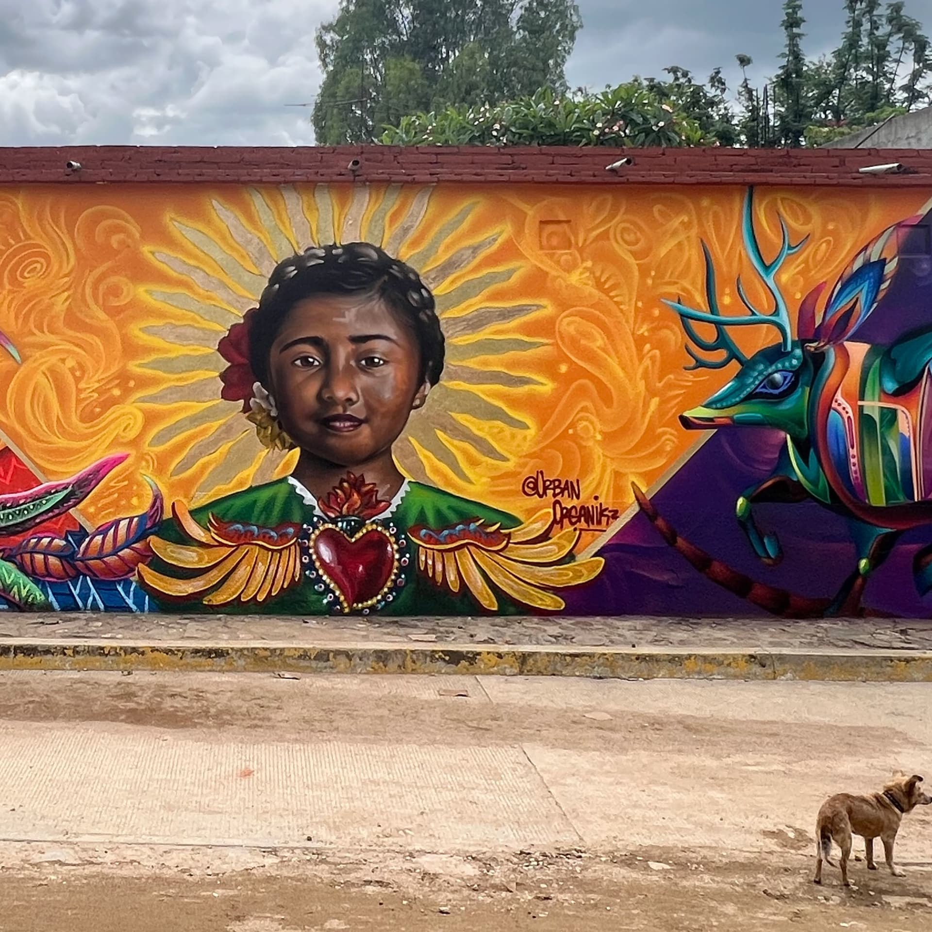 Sombra y Sol (artist residence in Mexico) detail