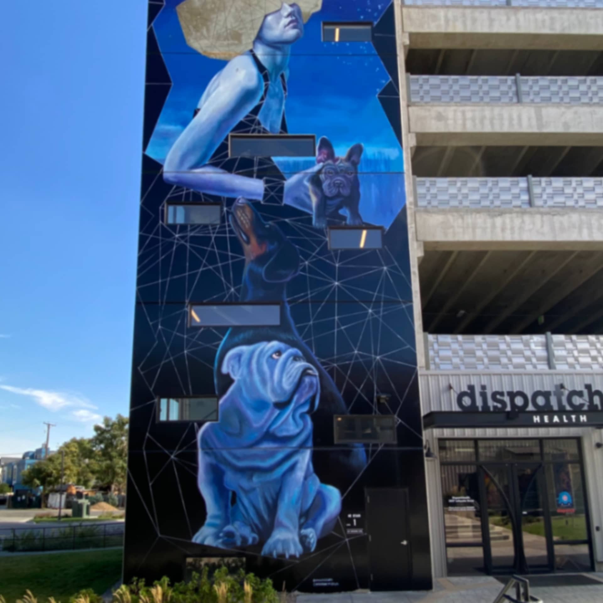 Dog spelled backwards with Adrian Avila detail