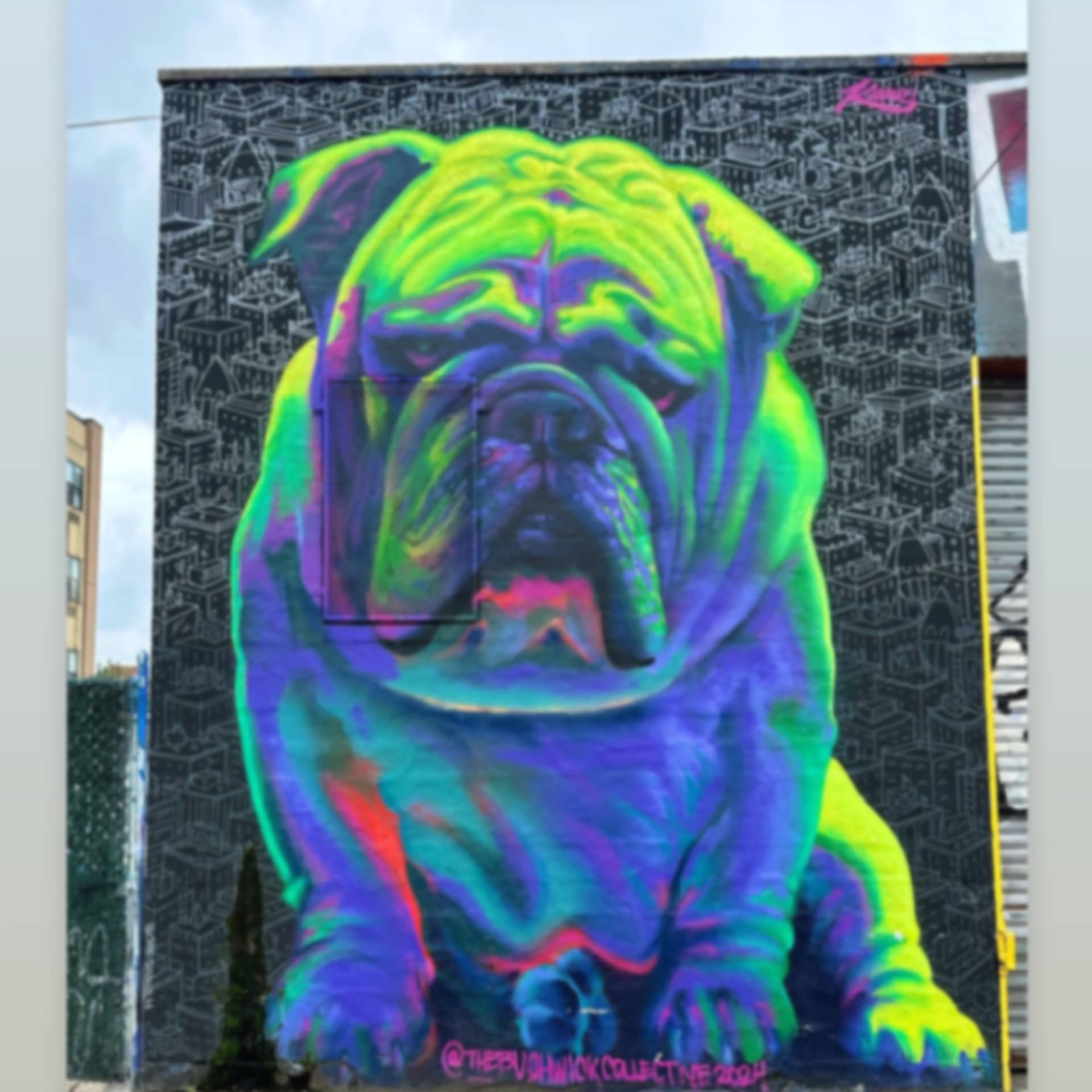 GlowBoug detail