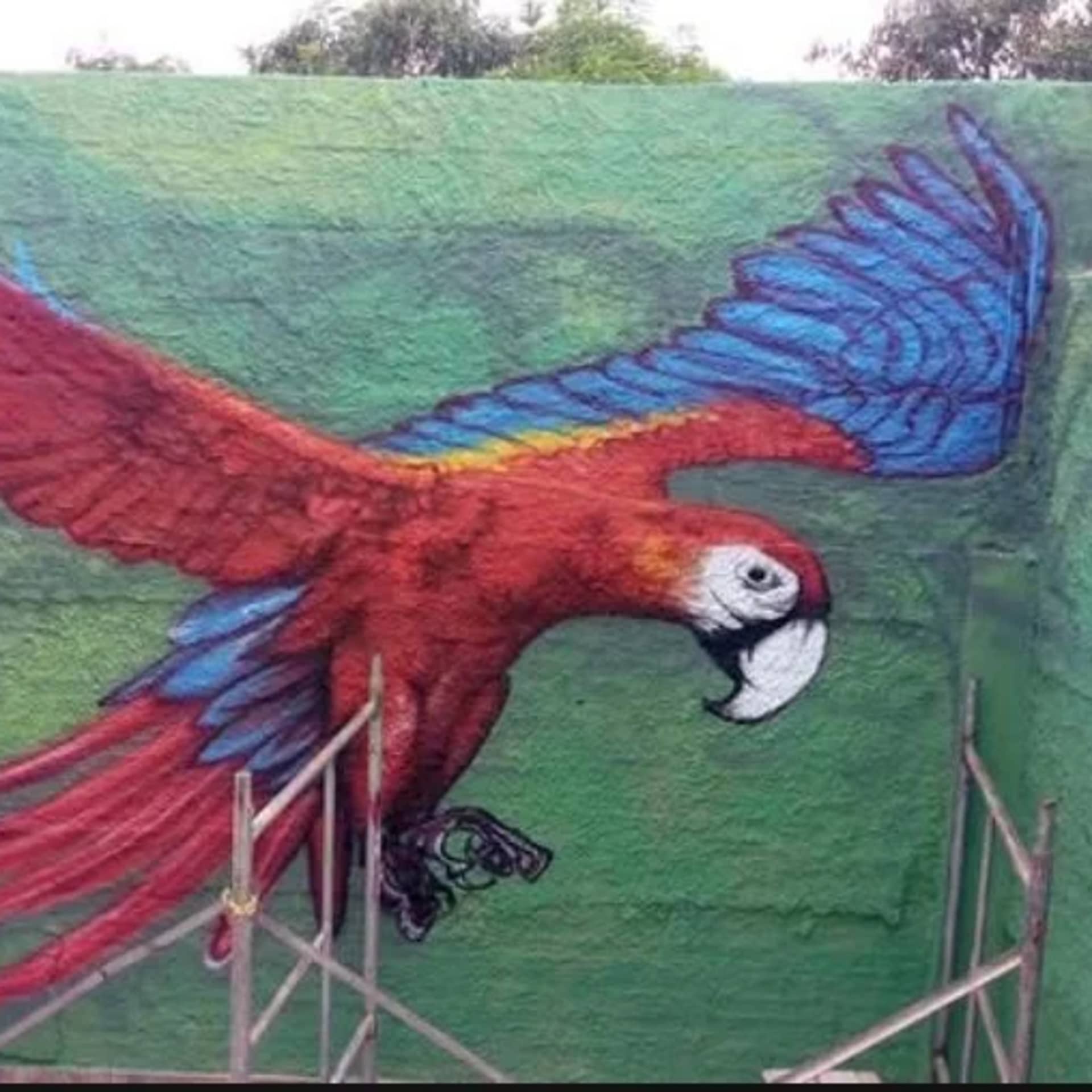 caribe3 detail
