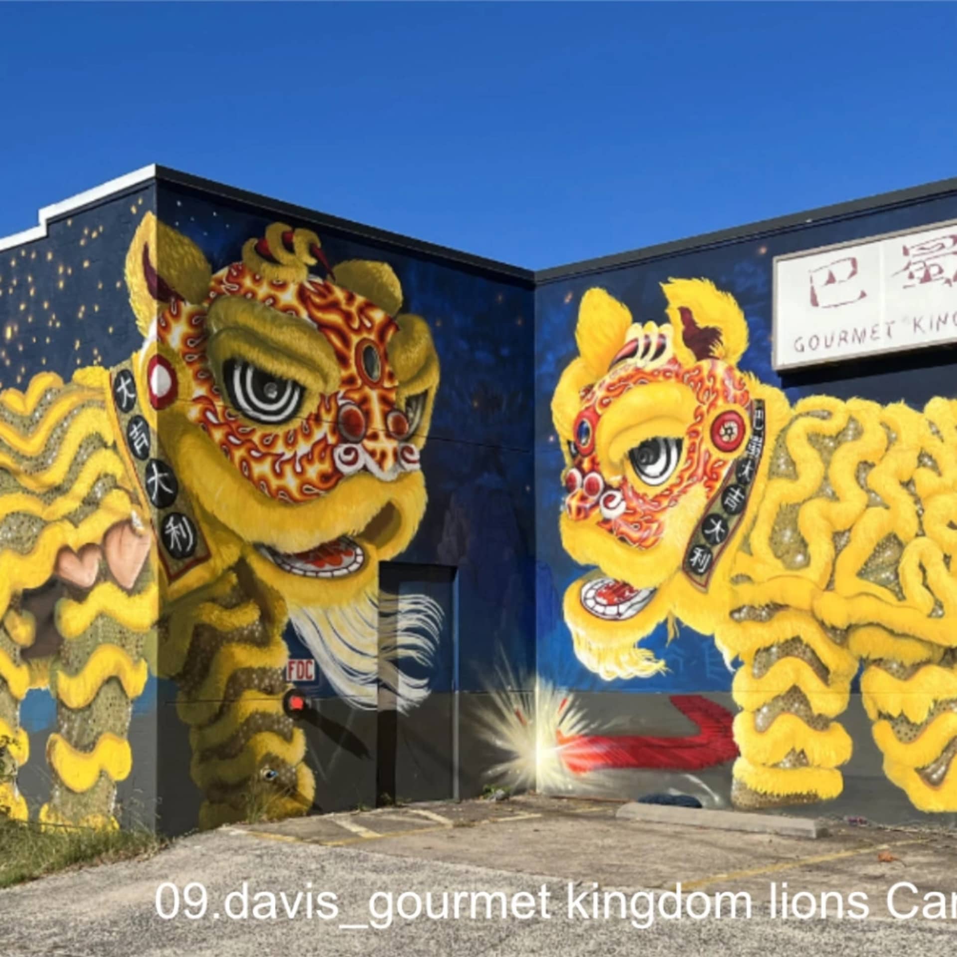 lions detail