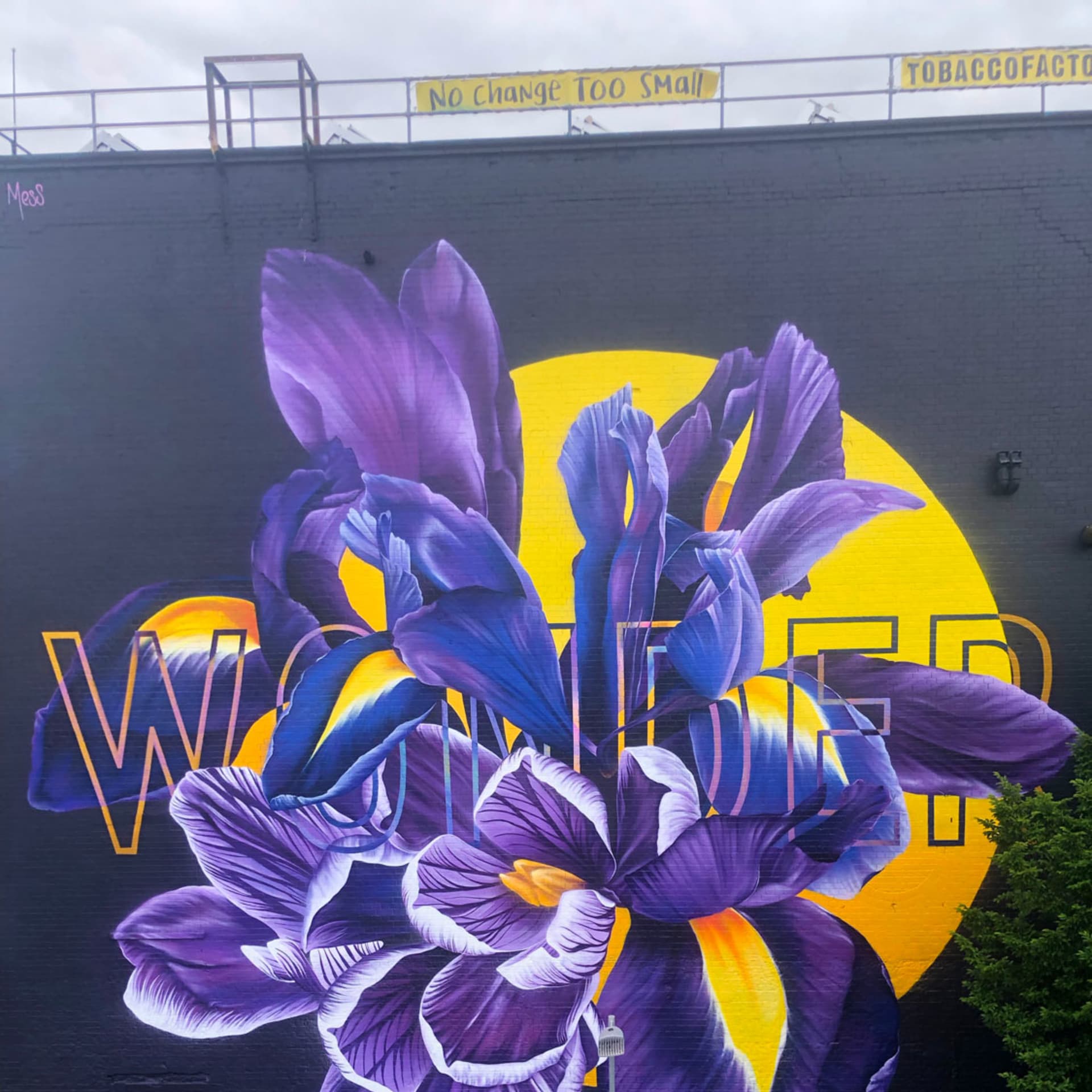 Blooming Wonder in Urban Serenity detail