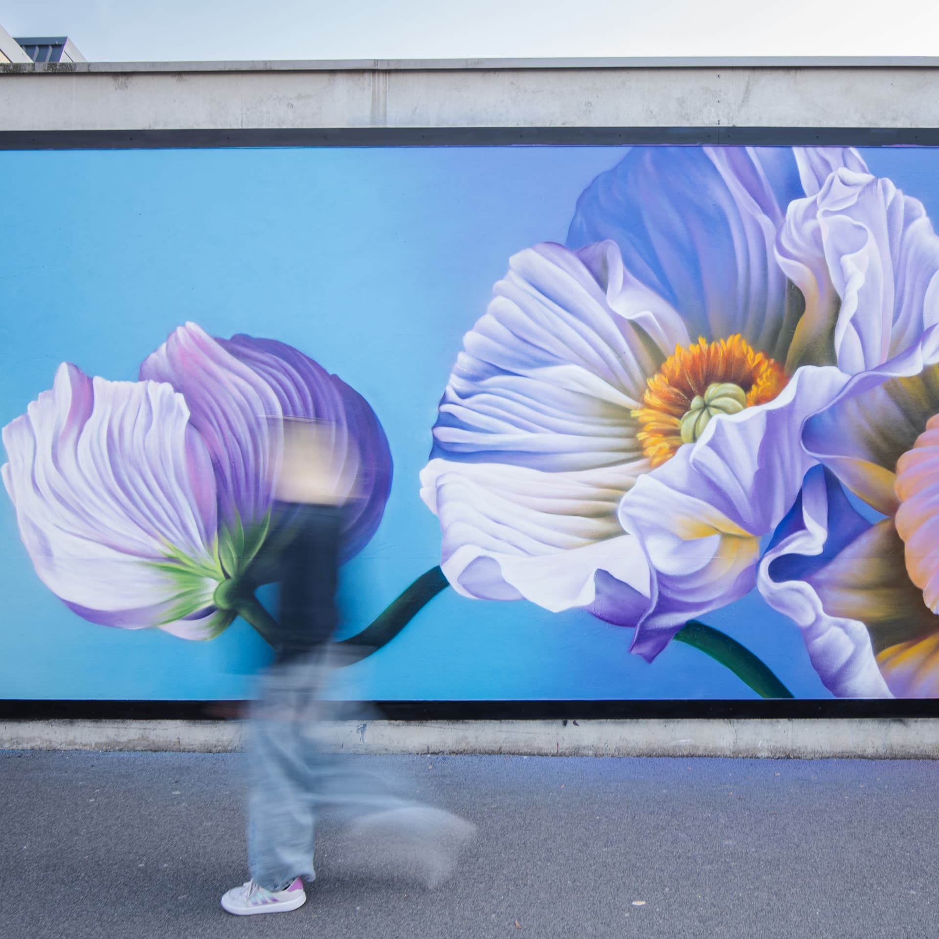 Whispers of Bloom in Urban Serenity detail