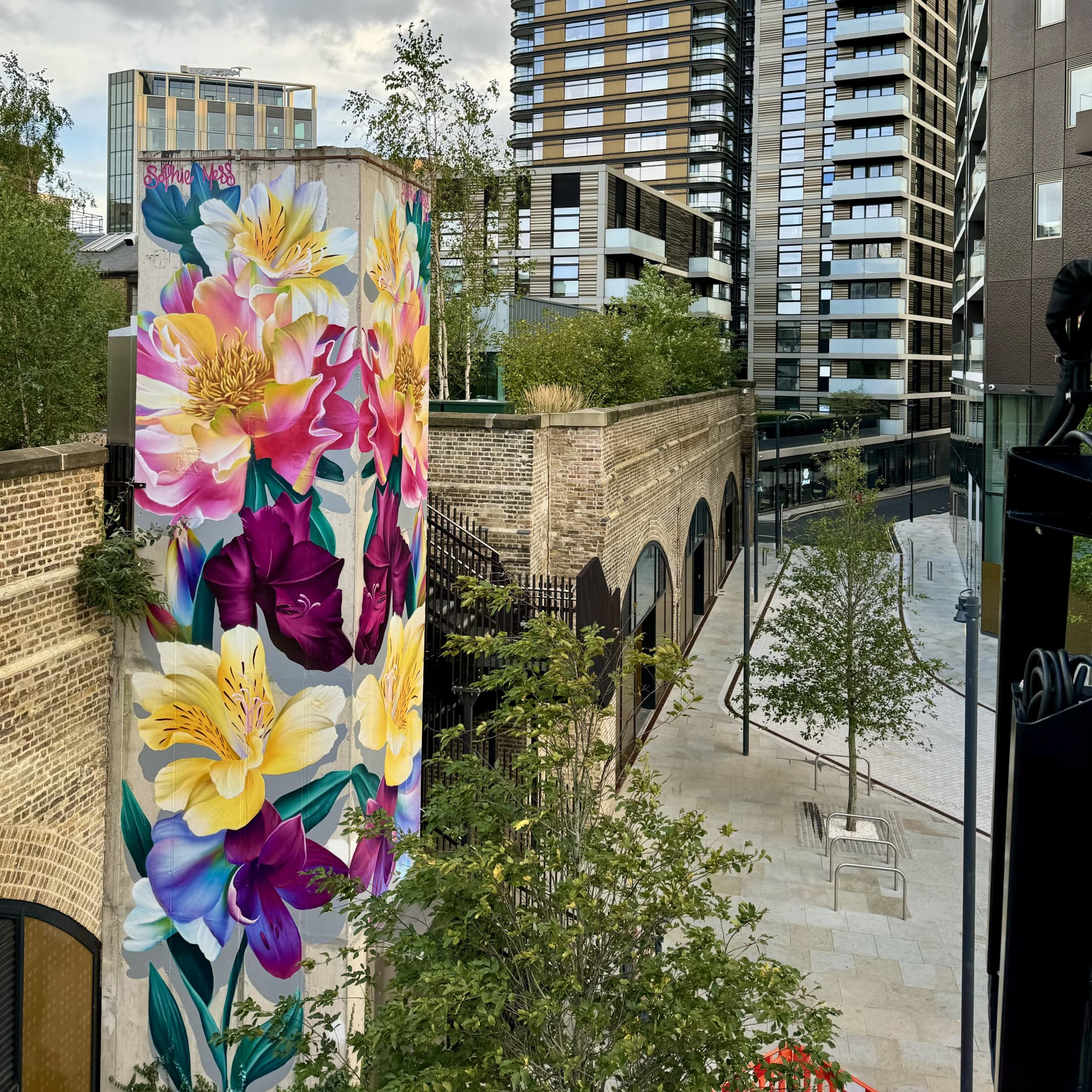 Urban Blooms: Nature's Palette in Concrete Jungle detail
