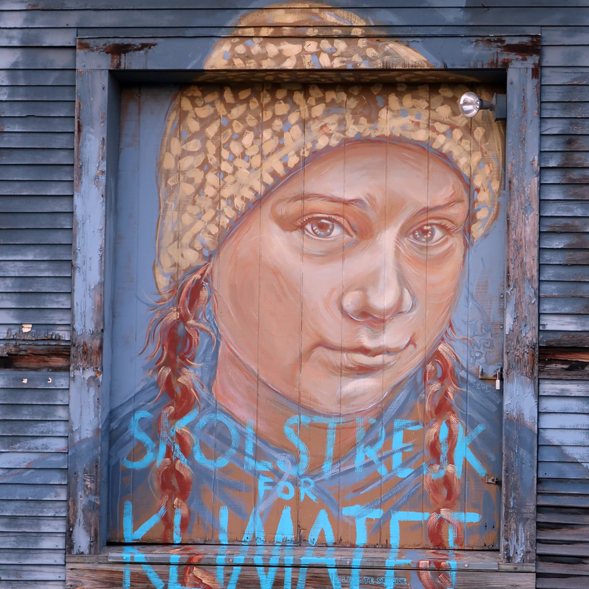 Skolstrejk for Klimatet detail