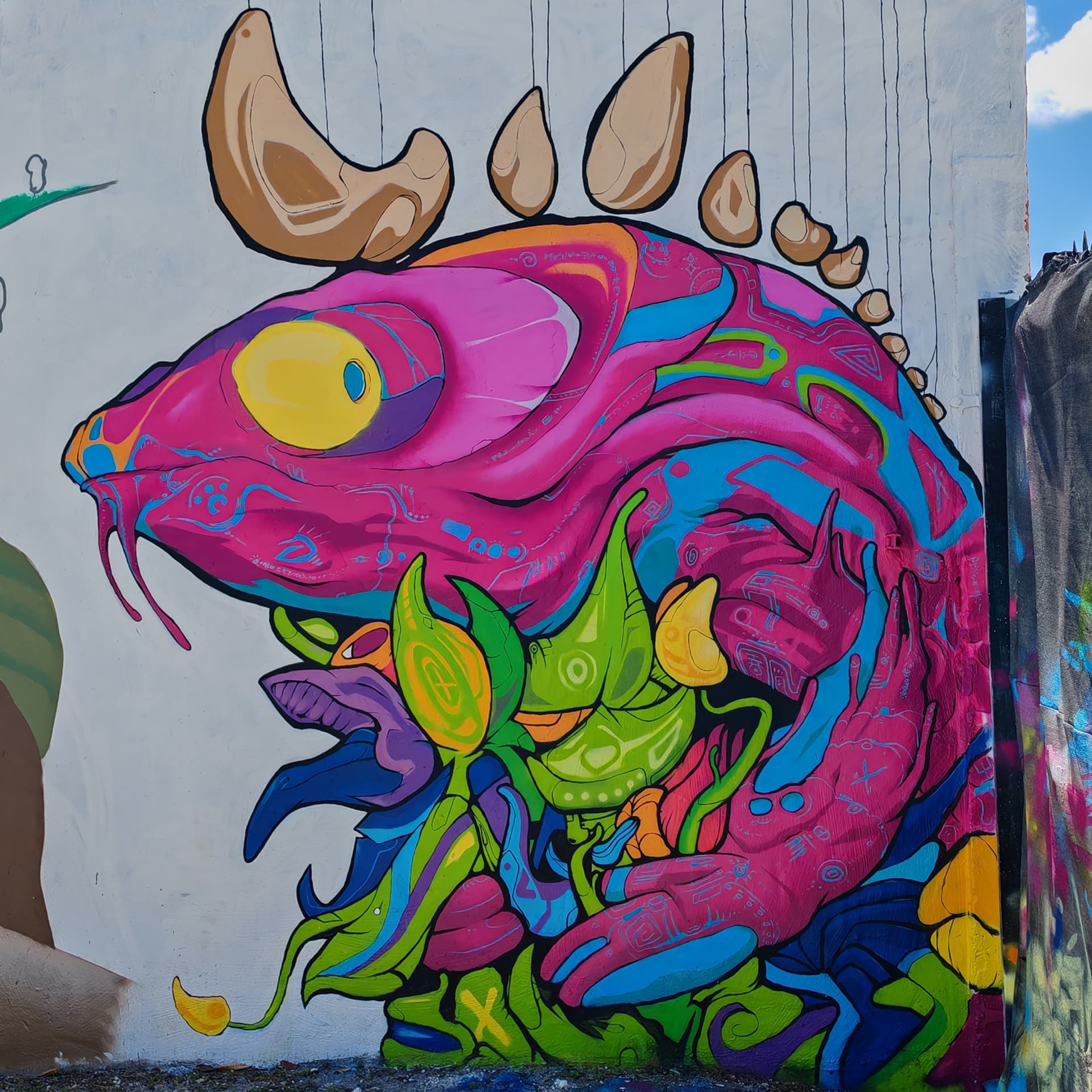 chameleon detail