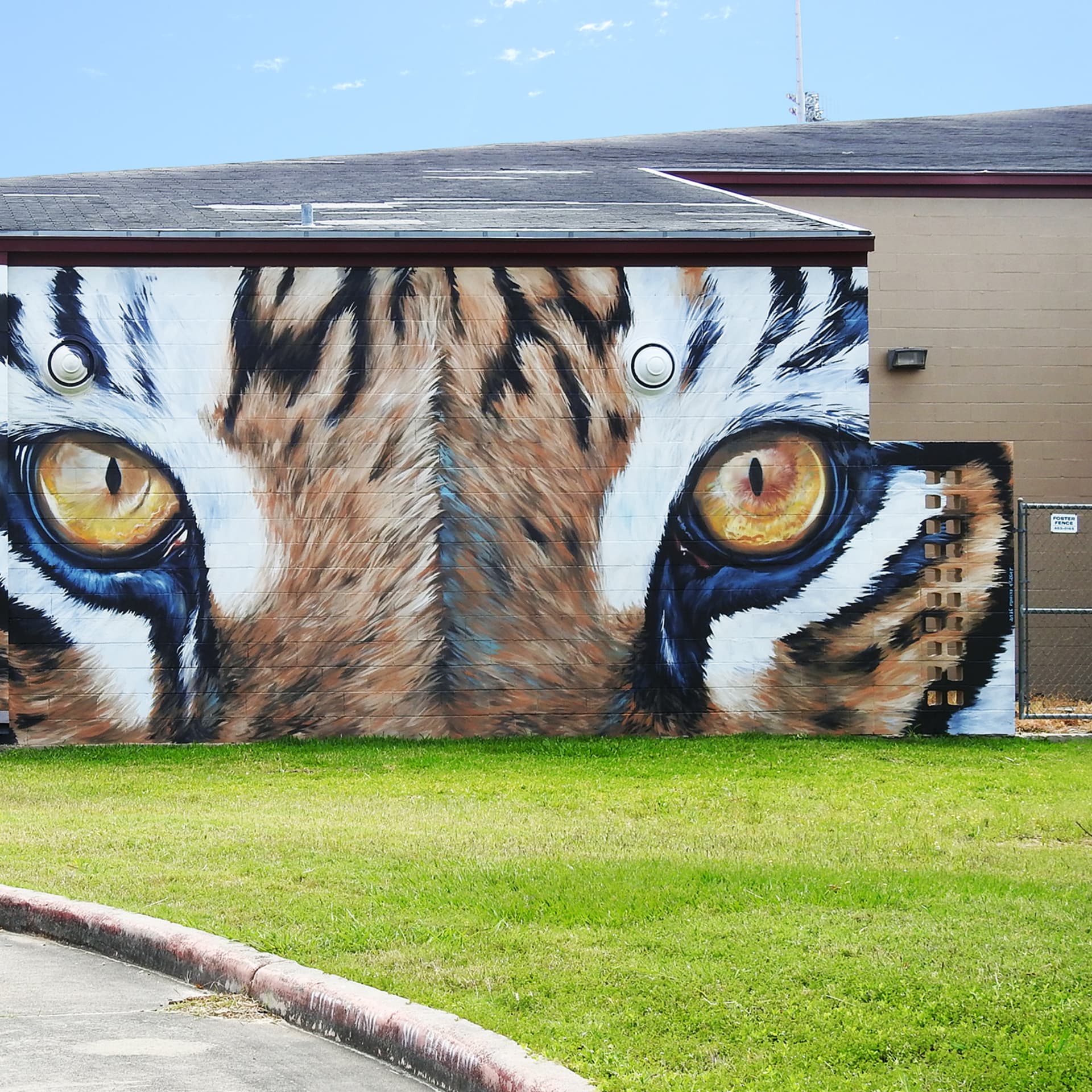 Eyes of the tiger detail