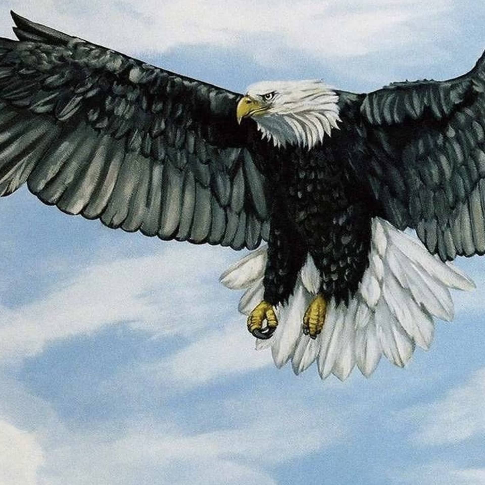 Eagle Sky Ceiling Mural detail