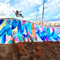 Beach Skatepark Mural