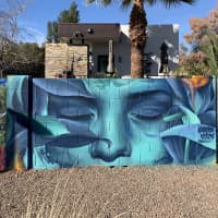 Desert Breath