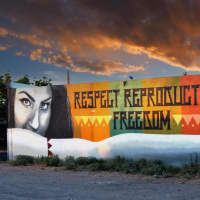 Respect Reproductive Freedom