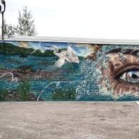 Eye on the river