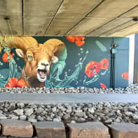 Superior Mural Fest