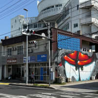 Incandescent Eyes in Urban Landscape