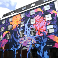 Waterford Walls, Ireland