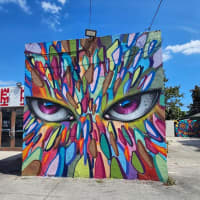 Eyes in a Kaleidoscope of Color