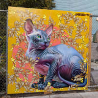 Sphynx