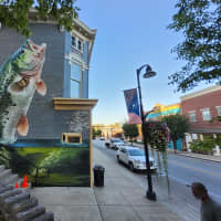 The fish