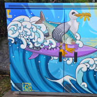Surfing Seagull