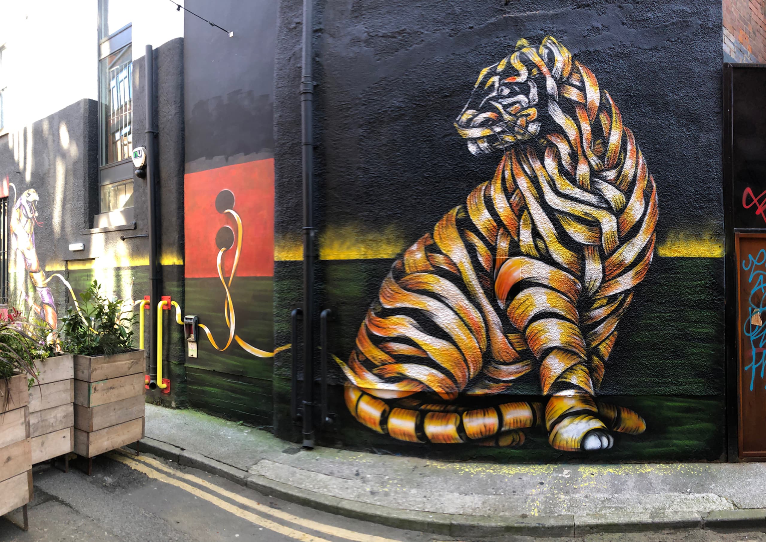 Urban Jungle
