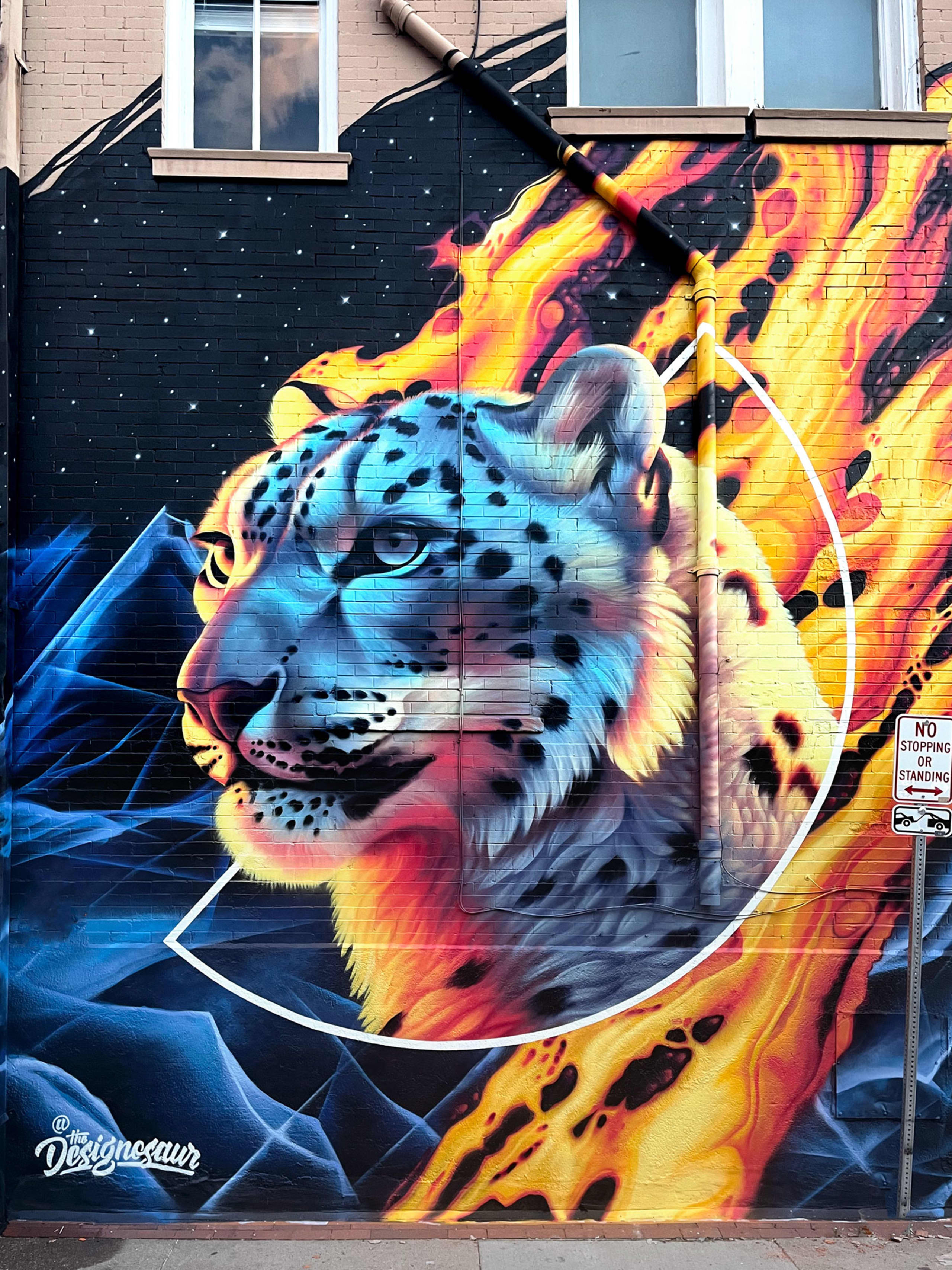 Feline Fury in Cosmic Flames